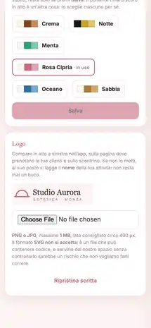 Profilo › Aspetto: i temi disponibili e il campo per caricare il logo, con un logo già caricato